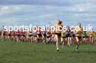 Intermediate Girls 2024 English Schools Cross Country Champs., Pontefract, March 16th.  Photo: David T. Hewitson/Sports for All Pics